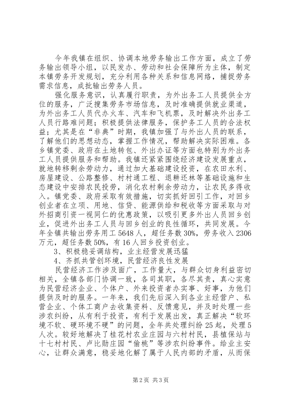 乡镇ＸＸＸＸ年度民营经济工作总结_第2页