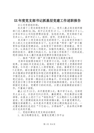 年度党支部书记抓基层党建工作述职报告