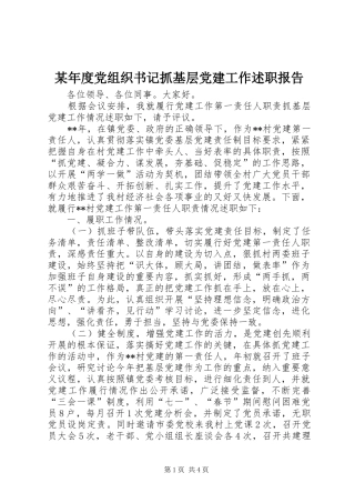 年度党组织书记抓基层党建工作述职报告