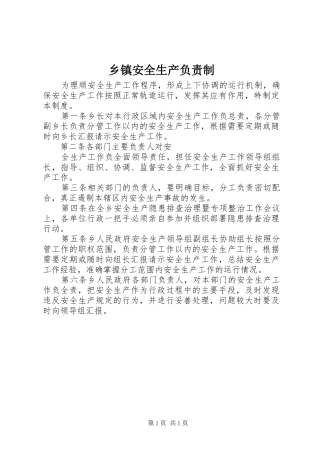 乡镇安全生产负责制