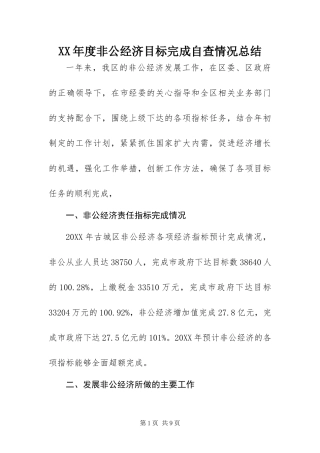 年度非公经济目标完成自查情况总结