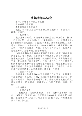 乡镇半年总结会