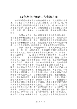 年度公开承诺工作实施方案