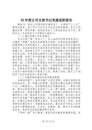 年度公司支部书记党建述职报告