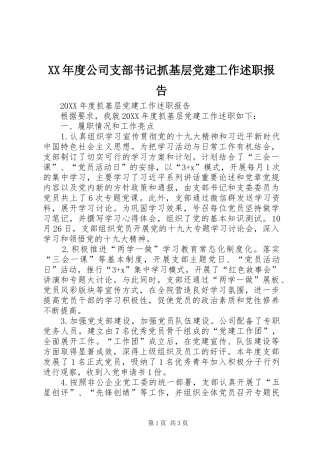 年度公司支部书记抓基层党建工作述职报告