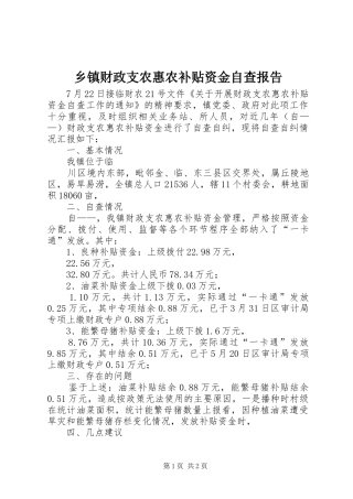 乡镇财政支农惠农补贴资金自查报告