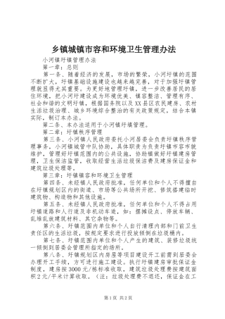 乡镇城镇市容和环境卫生管理办法