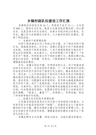 乡镇村级队伍建设工作汇报