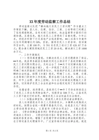 年度劳动监察工作总结