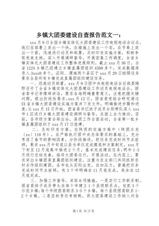 乡镇大团委建设自查报告范文一