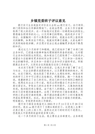 乡镇党委班子评议意见