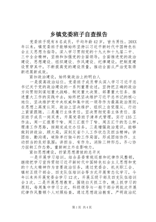 乡镇党委班子自查报告