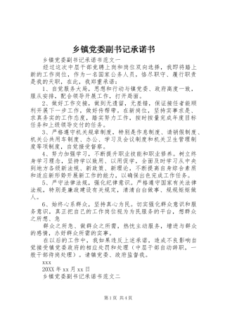 乡镇党委副书记承诺书