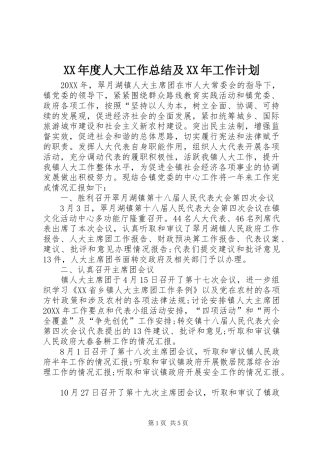 年度人大工作总结及工作计划