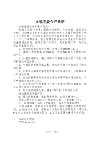 乡镇党委公开承诺