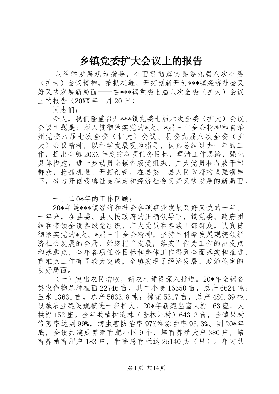 乡镇党委扩大会议上的报告_第1页