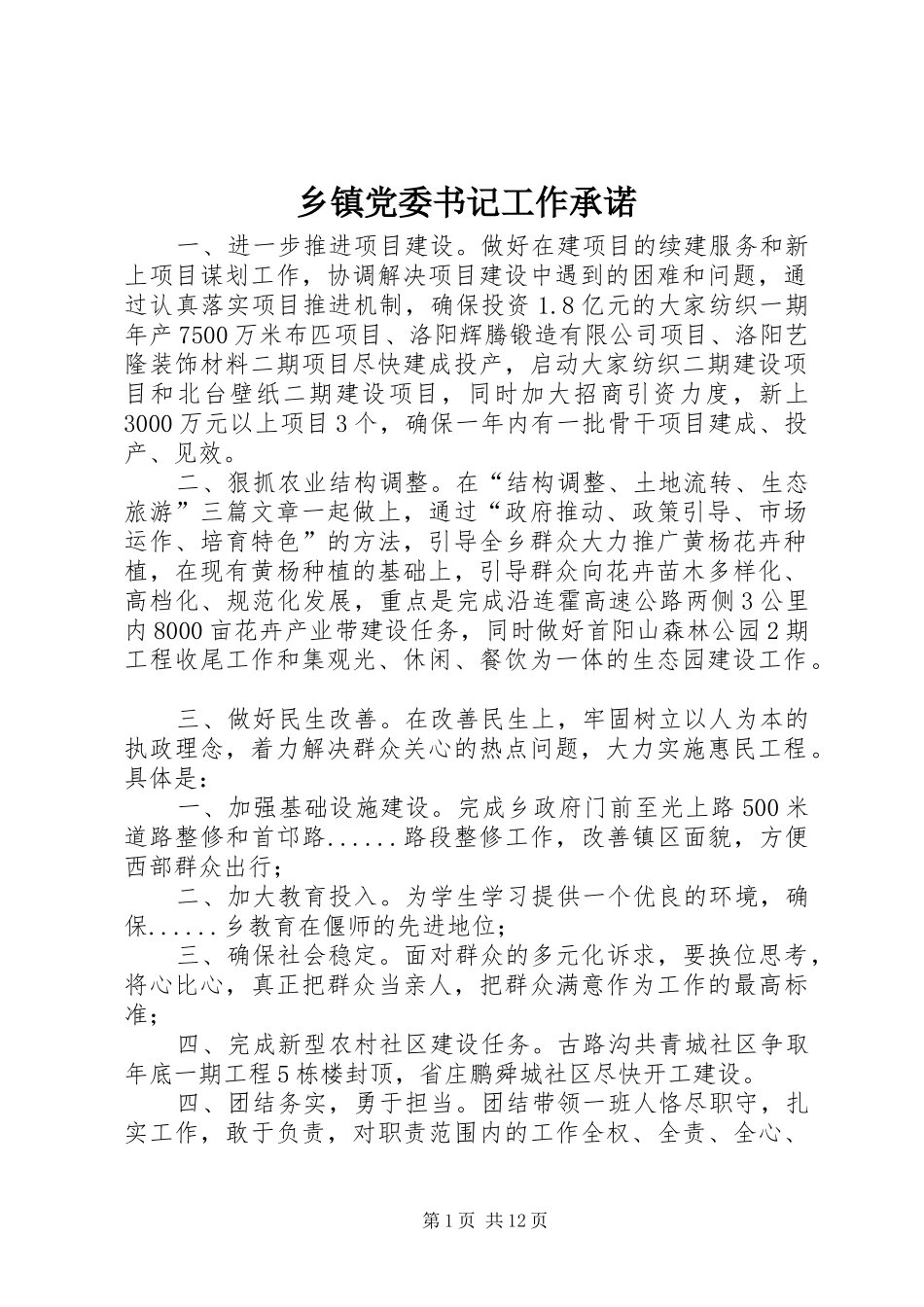 乡镇党委书记工作承诺_第1页