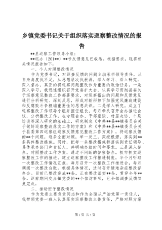 乡镇党委书记关于组织落实巡察整改情况的报告