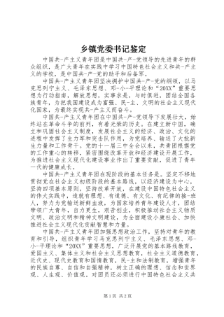 乡镇党委书记鉴定