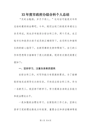 年度市政府办综合科个人总结