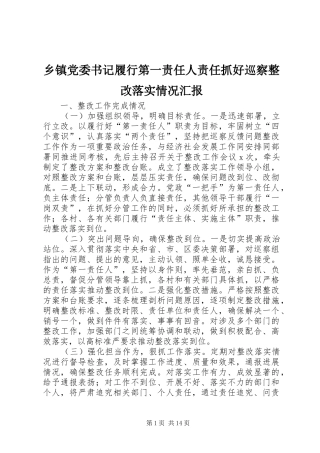 乡镇党委书记履行第一责任人责任抓好巡察整改落实情况汇报