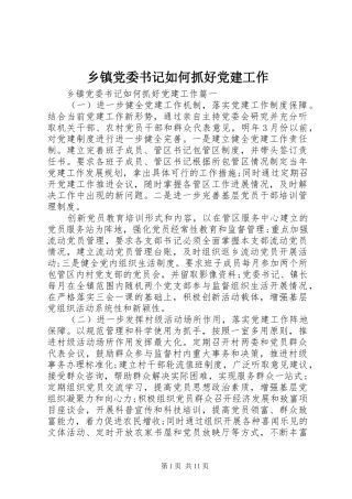 乡镇党委书记如何抓好党建工作