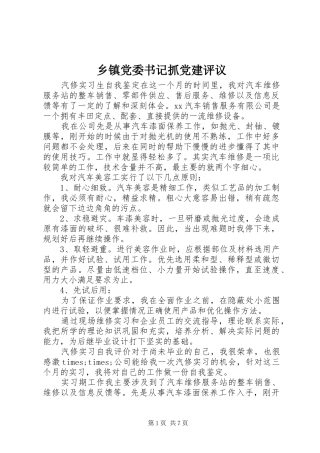 乡镇党委书记抓党建评议