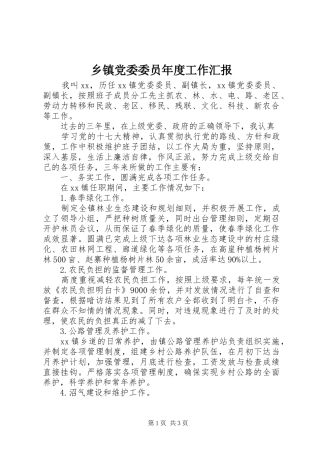 乡镇党委委员年度工作汇报
