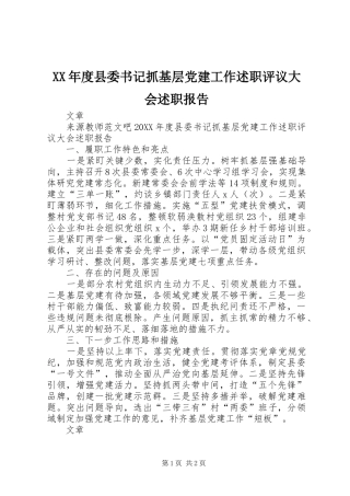 年度县委书记抓基层党建工作述职评议大会述职报告