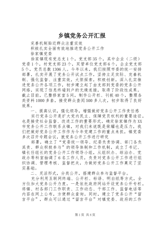 乡镇党务公开汇报