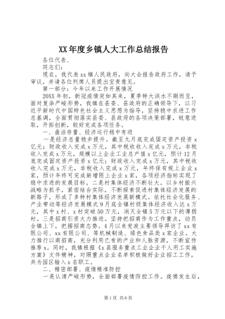 年度乡镇人大工作总结报告