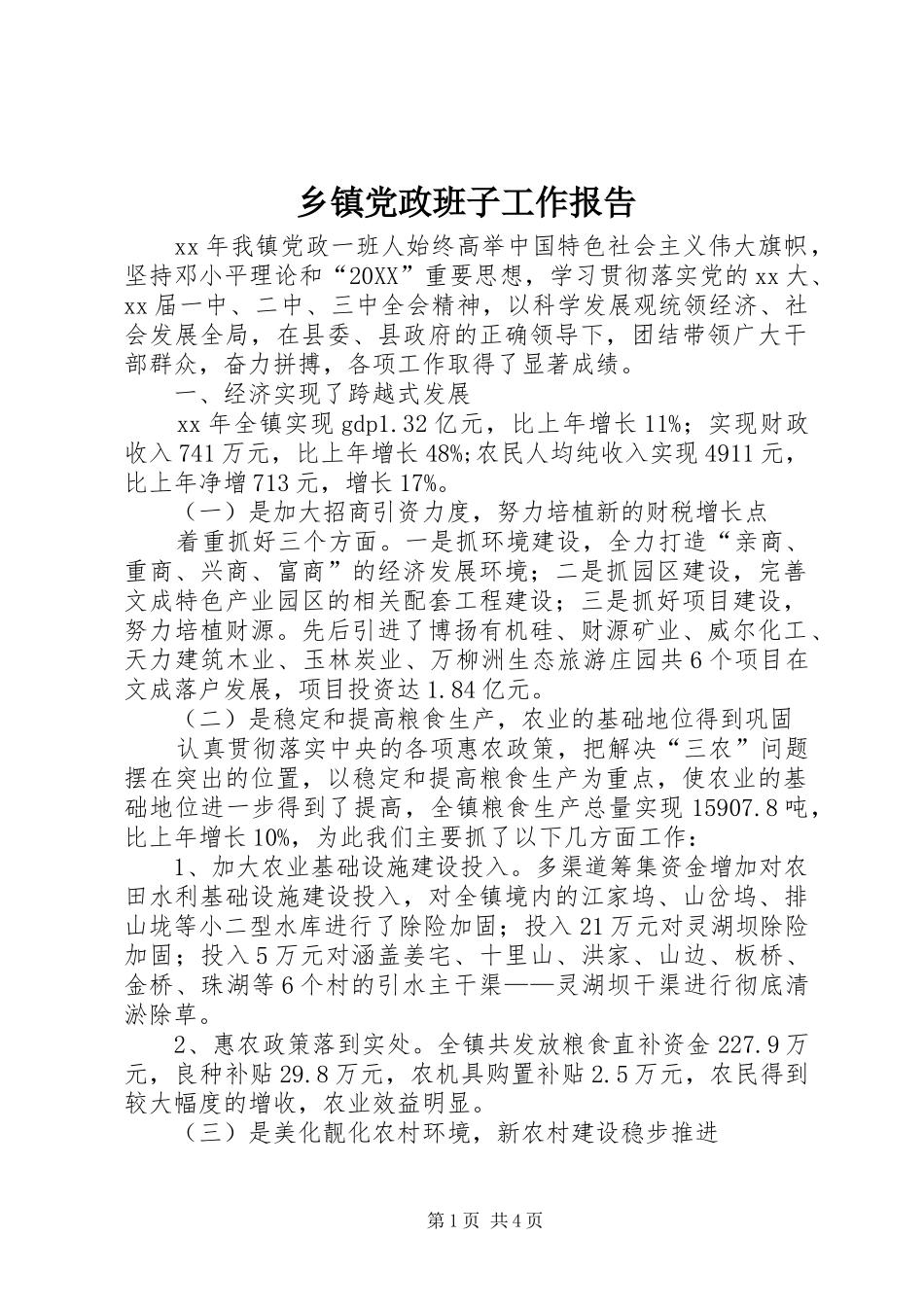 乡镇党政班子工作报告_第1页