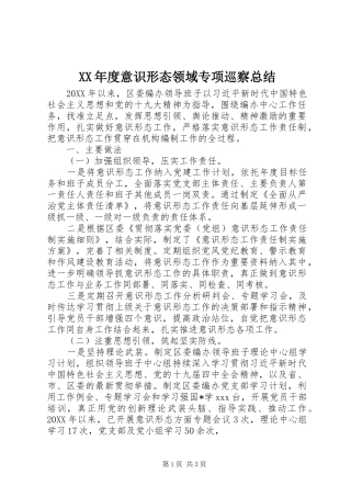 年度意识形态领域专项巡察总结