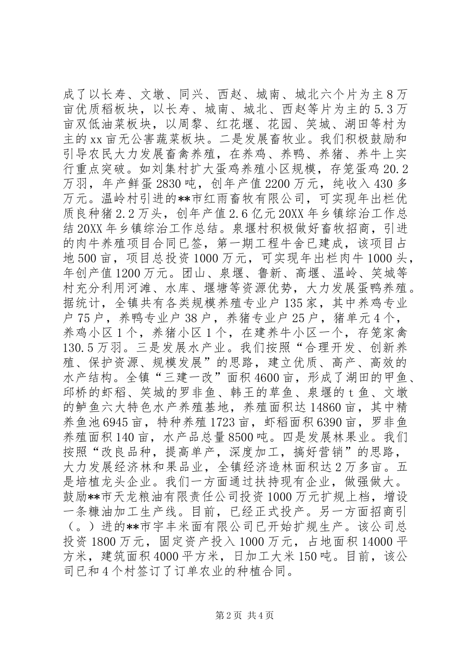 乡镇的综治工作总结范文_第2页