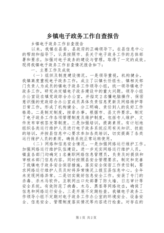 乡镇电子政务工作自查报告