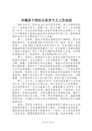 乡镇多个岗位公务员个人工作总结