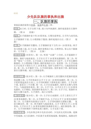 出旗规范动作