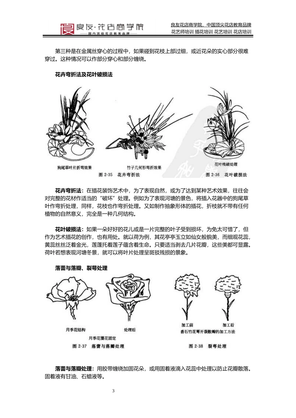 初级花艺师需掌握的花材修剪及加工处理方法_第3页