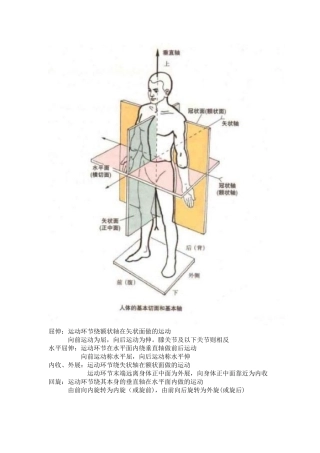 初级健身教练考试资料