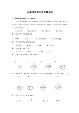 初三化学用语专项练习