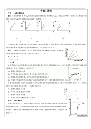 初三化学总复习专题---图像