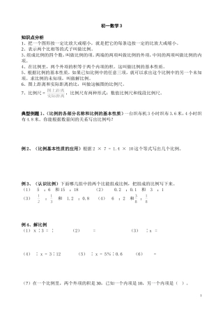 初一数学比例复习