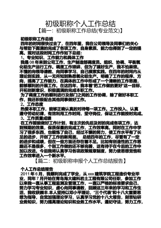 初级职称个人工作总结