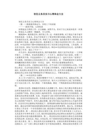 初任公务员实习心得体会大全-精选模板