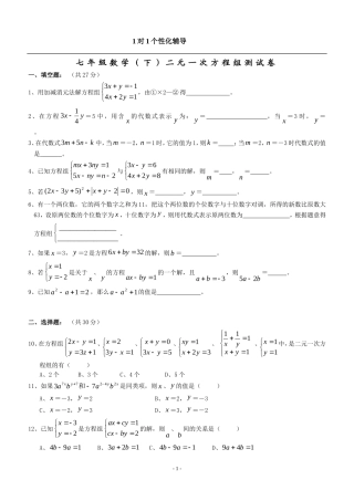 初一下册二元一次方程组提高测试卷(含答案)