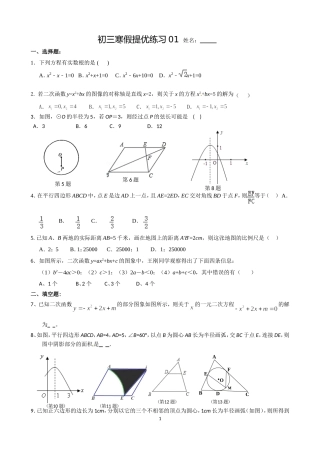 初三寒假提优练习01