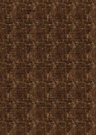 初一下册英语课文翻译