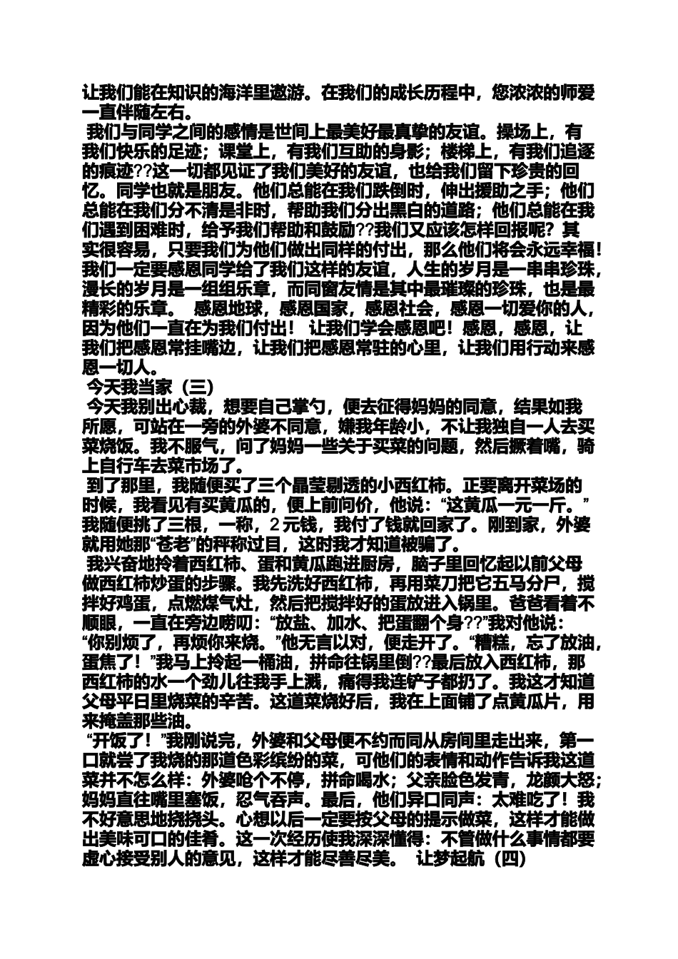 初三作文之买菜作文初中_第3页