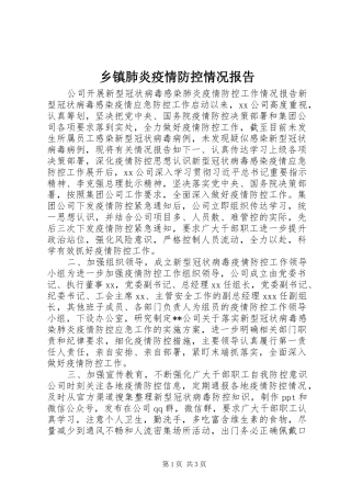 乡镇肺炎疫情防控情况报告