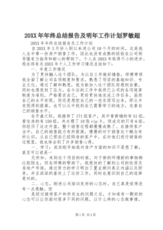 年终总结报告及明年工作计划罗敏超